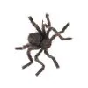 Spirit Halloween 20 Inch Hairy Spider -Spirit Halloween Boutique 00591081 a