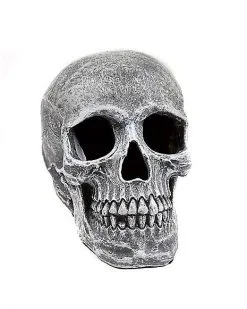 Spirit Halloween Large Realistic Skull Prop
