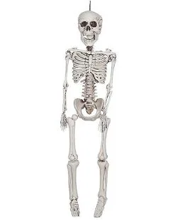 Spirit Halloween 3 Ft Plastic Skeleton