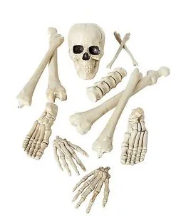 Spirit Halloween Bag Of Bones