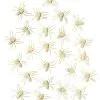 Spirit Halloween Glow In The Dark Spiders - 24 Pack -Spirit Halloween Boutique 01251032 a