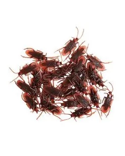 Spirit Halloween Cockroach Set