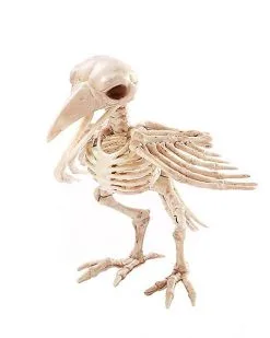 Spirit Halloween Skeleton Crow