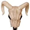 Spirit Halloween Ram Skull Decoration -Spirit Halloween Boutique 01312255 a