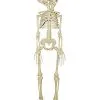 Spirit Halloween 20 Inch Two-Headed Skeleton -Spirit Halloween Boutique 01344241 a