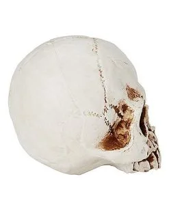 Spirit Halloween Jawless Skull -Spirit Halloween Boutique 01475961 b