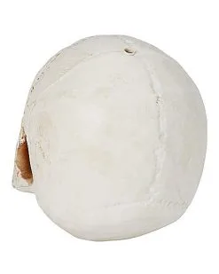 Spirit Halloween Jawless Skull -Spirit Halloween Boutique 01475961 c