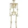 Spirit Halloween 5 Ft Blacklight Skeleton -Spirit Halloween Boutique 01476142 a