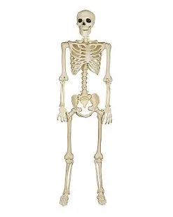 Spirit Halloween 5 Ft Blacklight Skeleton