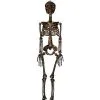 Spirit Halloween Moss Skeleton -Spirit Halloween Boutique 01477140 a
