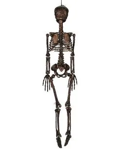 Spirit Halloween Moss Skeleton -Spirit Halloween Boutique 01477140 c