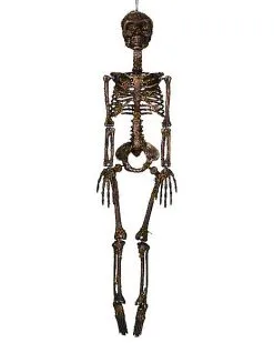 Spirit Halloween Moss Skeleton -Spirit Halloween Boutique 01477140 d