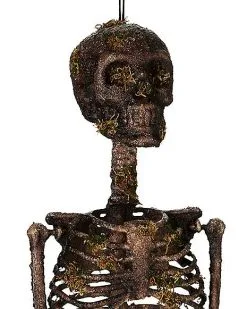 Spirit Halloween Moss Skeleton -Spirit Halloween Boutique 01477140 f