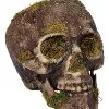 Spirit Halloween Moss Skull -Spirit Halloween Boutique 01477157 a