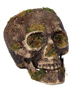 Spirit Halloween Moss Skull