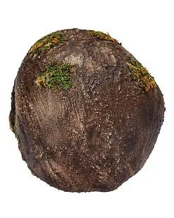 Spirit Halloween Moss Skull -Spirit Halloween Boutique 01477157 c