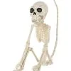 Spirit Halloween Monkey Skeleton 2 Spirit Halloween Monkey Skeleton -Spirit Halloween Boutique 01477173 a