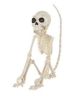 Spirit Halloween Monkey Skeleton