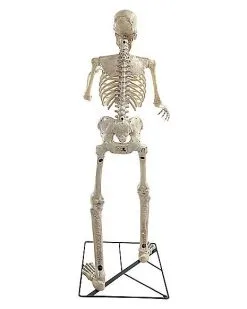 Spirit Halloween 6 Ft Grim Animatronic -Spirit Halloween Boutique 01512730 e