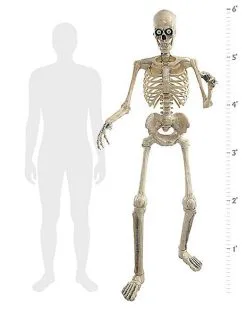 Spirit Halloween 6 Ft Grim Animatronic -Spirit Halloween Boutique 01512730 f