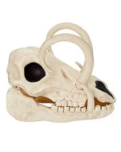 Spirit Halloween Boar Skull -Spirit Halloween Boutique 01528785 b