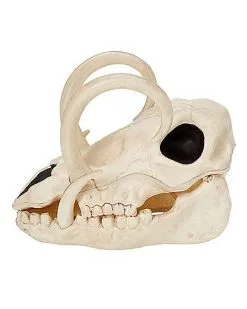 Spirit Halloween Boar Skull -Spirit Halloween Boutique 01528785 d