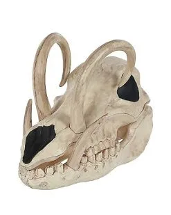 Spirit Halloween Boar Skull
