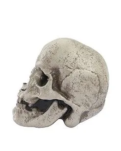 Spirit Halloween Mutant Skull -Spirit Halloween Boutique 01528868 d