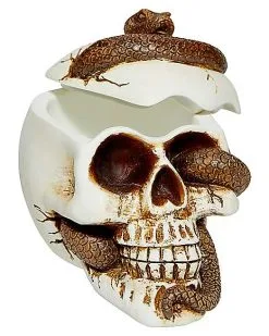 Spirit Halloween Snake Skull Box -Spirit Halloween Boutique 01530286 c