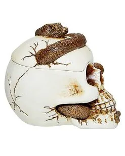Spirit Halloween Snake Skull Box -Spirit Halloween Boutique 01530286 d