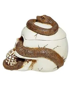 Spirit Halloween Snake Skull Box -Spirit Halloween Boutique 01530286 f