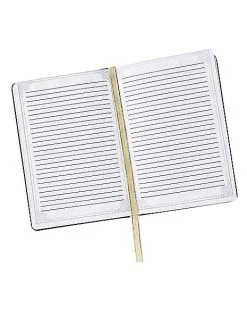 Spirit Halloween Gothic Noir Skull Journal -Spirit Halloween Boutique 01540152 c