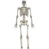 Spirit Halloween 5 Ft. Digieye Hanging Skeleton Decoration -Spirit Halloween Boutique 01547751 a