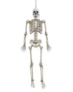 Spirit Halloween 5 Ft. Digieye Hanging Skeleton Decoration