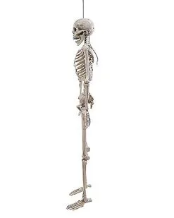Spirit Halloween 5 Ft. Digieye Hanging Skeleton Decoration -Spirit Halloween Boutique 01547751 d