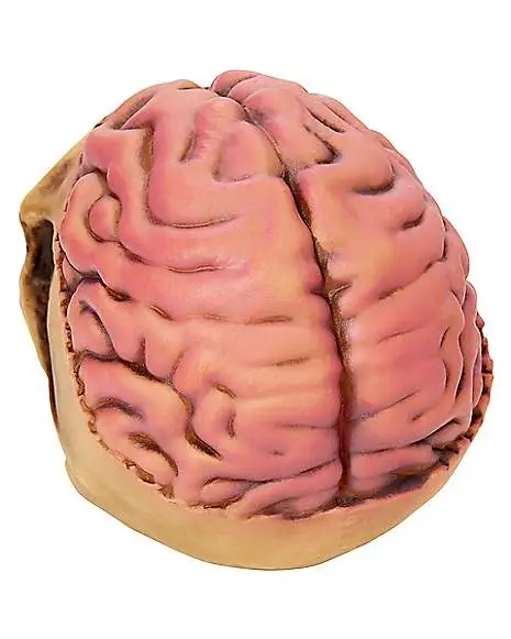 Spirit Halloween Skull With Brain Decoration 5 Spirit Halloween Skull With Brain Decoration - Image 3