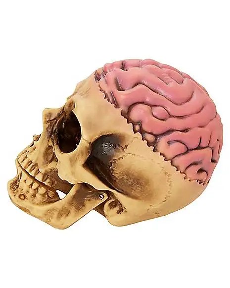 Spirit Halloween Skull With Brain Decoration 6 Spirit Halloween Skull With Brain Decoration - Image 4