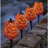 Spirit Halloween Light-Up LED Jack-O-Lantern Pathway Markers 2 Spirit Halloween Light-Up LED Jack-O-Lantern Pathway Markers -Spirit Halloween Boutique 01573914 a