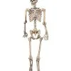 Spirit Halloween 5 Ft Pose 'N' Stay Skeleton -Spirit Halloween Boutique 07125149 a