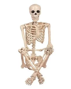Spirit Halloween 5 Ft Pose 'N' Stay Skeleton -Spirit Halloween Boutique 07125149 c
