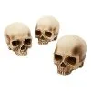 Spirit Halloween Jawless Skull Set - 3 Pack -Spirit Halloween Boutique 07641780 a