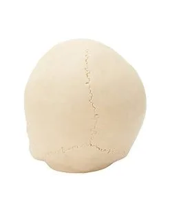 Spirit Halloween Jawless Skull Set - 3 Pack -Spirit Halloween Boutique 07641780 d